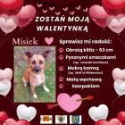 zdjęcie nr 11