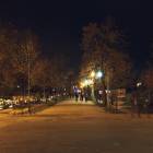 zdjęcie nr 15