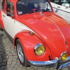 zdjęcie nr 32
