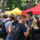 zdjęcie nr 17