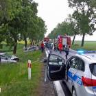 Fotka nr 1 z 6