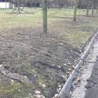 zdjęcie nr 8