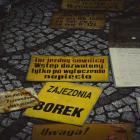 zdjęcie nr 10