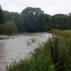 zdjęcie nr 13