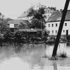 zdjęcie nr 8