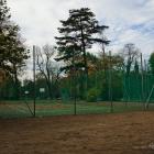 zdjęcie nr 41