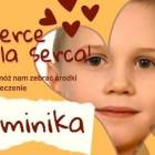 Fotka nr 0 z 1