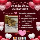 zdjęcie nr 23