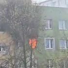 zdjęcie nr 29