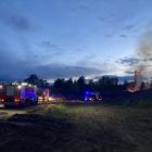 Fotka nr 5 z 11