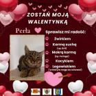 zdjęcie nr 16