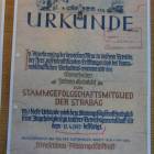 zdjęcie nr 67