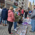 zdjęcie nr 19
