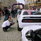 zdjęcie nr 33