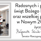 Fotka nr 3 z 22