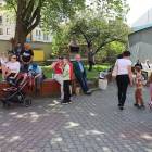 zdjęcie nr 12