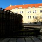 zdjęcie nr 9