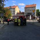 Fotka nr 4 z 11