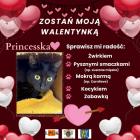 zdjęcie nr 21