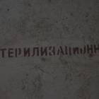 Fotka nr 4 z 26