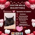 zdjęcie nr 14
