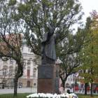 zdjęcie nr 8
