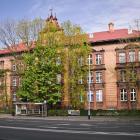 zdjęcie nr 13