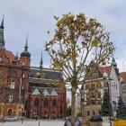 zdjęcie nr 33