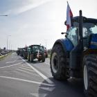 zdjęcie nr 15