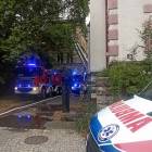 Fotka nr 5 z 9