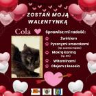 zdjęcie nr 19