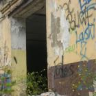 Fotka nr 3 z 9