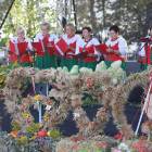 zdjęcie nr 7