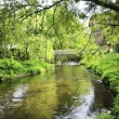 zdjęcie nr 