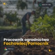 zdjęcie nr 