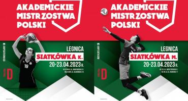 Witelonka zaprasza na Półfinały Mistrzostw Polski w Piłce Siatkowej