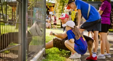 Pożegnanie lata z Bezdomniakiem w legnickim schronisku (FOTO)