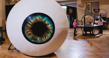 Pierwsze urodziny Centrum Witelona - program atrakcji