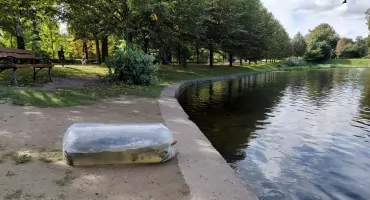 Ryby wróciły do Koziego Stawu