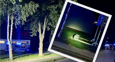 Zagadka pakunku, który postawił służby na nogi, wyjaśniona