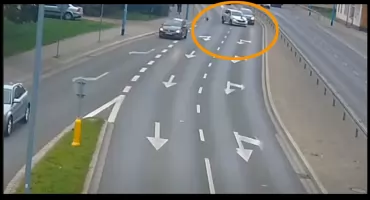 Pies doprowadził do kolizji na ulicy II Armii Wojska Polskiego (FILM)