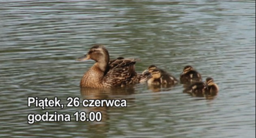 Zielony Rozwój - Ścieżka dydaktyczna w Gogołowicach